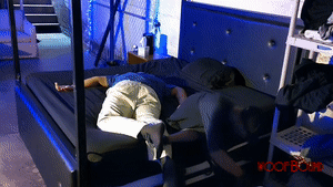 woofbound.com - Cub Meet Up thumbnail