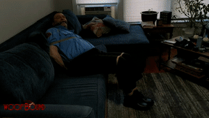 woofbound.com - Home Security thumbnail