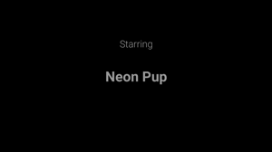 woofbound.com - Neon Jet Tub Bound thumbnail