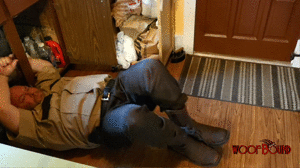 woofbound.com - Sheriff's Dilemma thumbnail