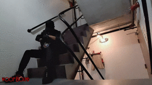 woofbound.com - Stairway Laughter thumbnail